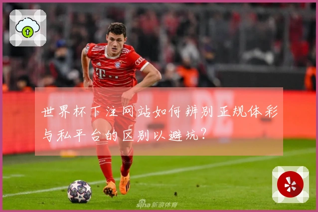 世界杯下注网站如何辨别正规体彩与私平台的区别以避坑?