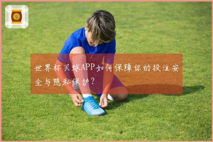 世界杯买球APP如何保障你的投注安全与隐私保护？