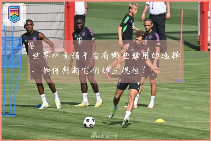 世界杯竞猜平台有哪些好用的选择，如何判断它们的正规性？