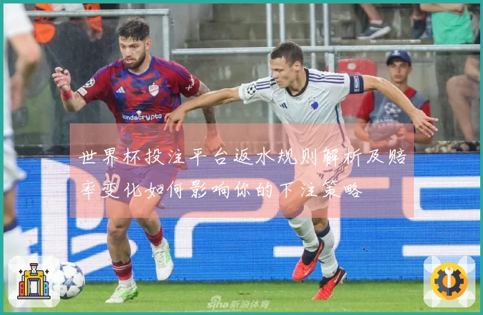 世界杯投注平台返水规则解析及赔率变化如何影响你的下注策略