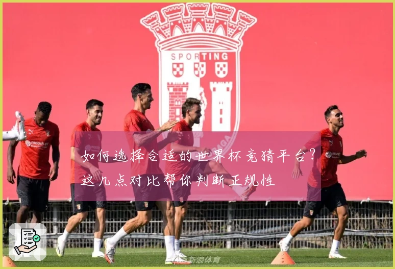 如何选择合适的世界杯竞猜平台？这几点对比帮你判断正规性