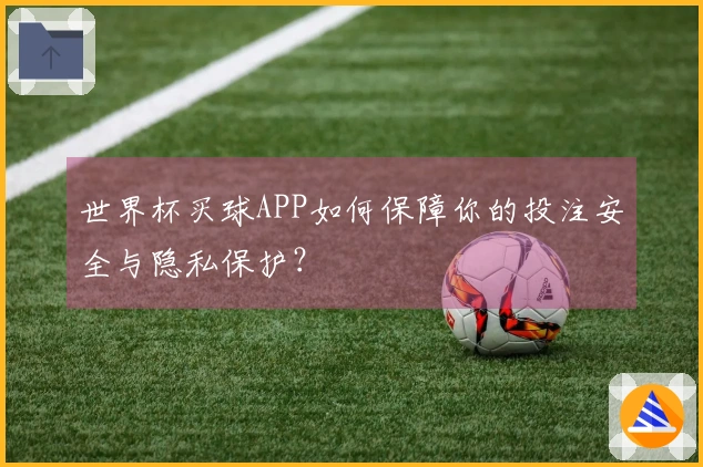 世界杯买球APP如何保障你的投注安全与隐私保护？