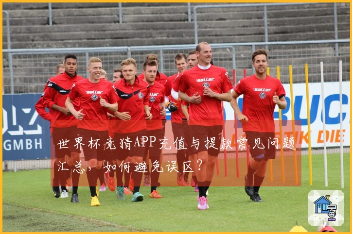 世界杯竞猜APP充值与提款常见问题汇总，如何避免误区？