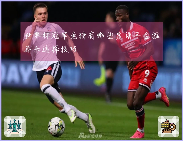 世界杯冠军竞猜有哪些靠谱平台推荐和选择技巧