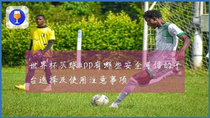 世界杯买球app有哪些安全可信的平台选择及使用注意事项