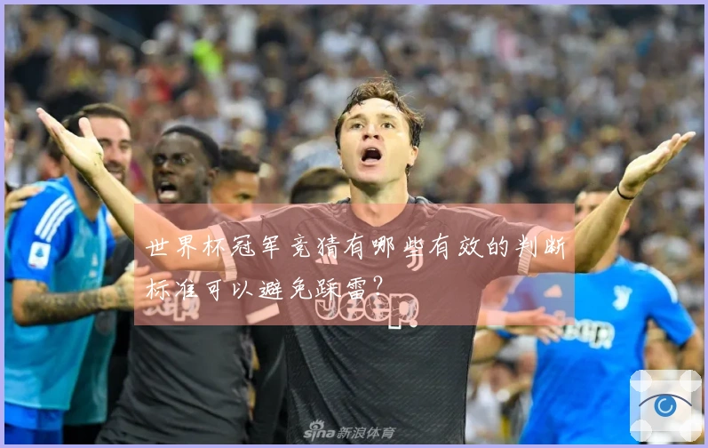 世界杯冠军竞猜有哪些有效的判断标准可以避免踩雷？