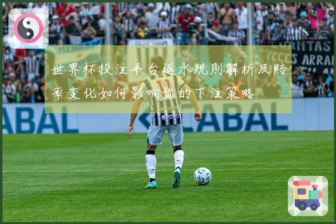 世界杯投注平台返水规则解析及赔率变化如何影响你的下注策略