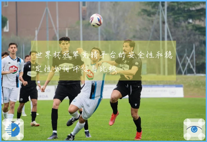世界杯冠军竞猜平台的安全性和稳定性如何评估与比较