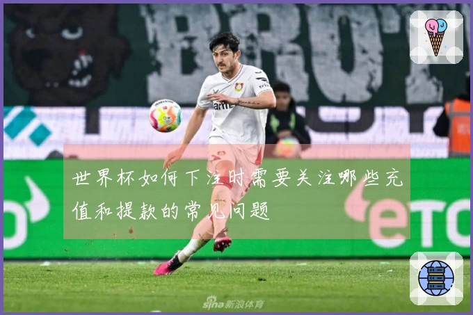 世界杯如何下注时需要关注哪些充值和提款的常见问题